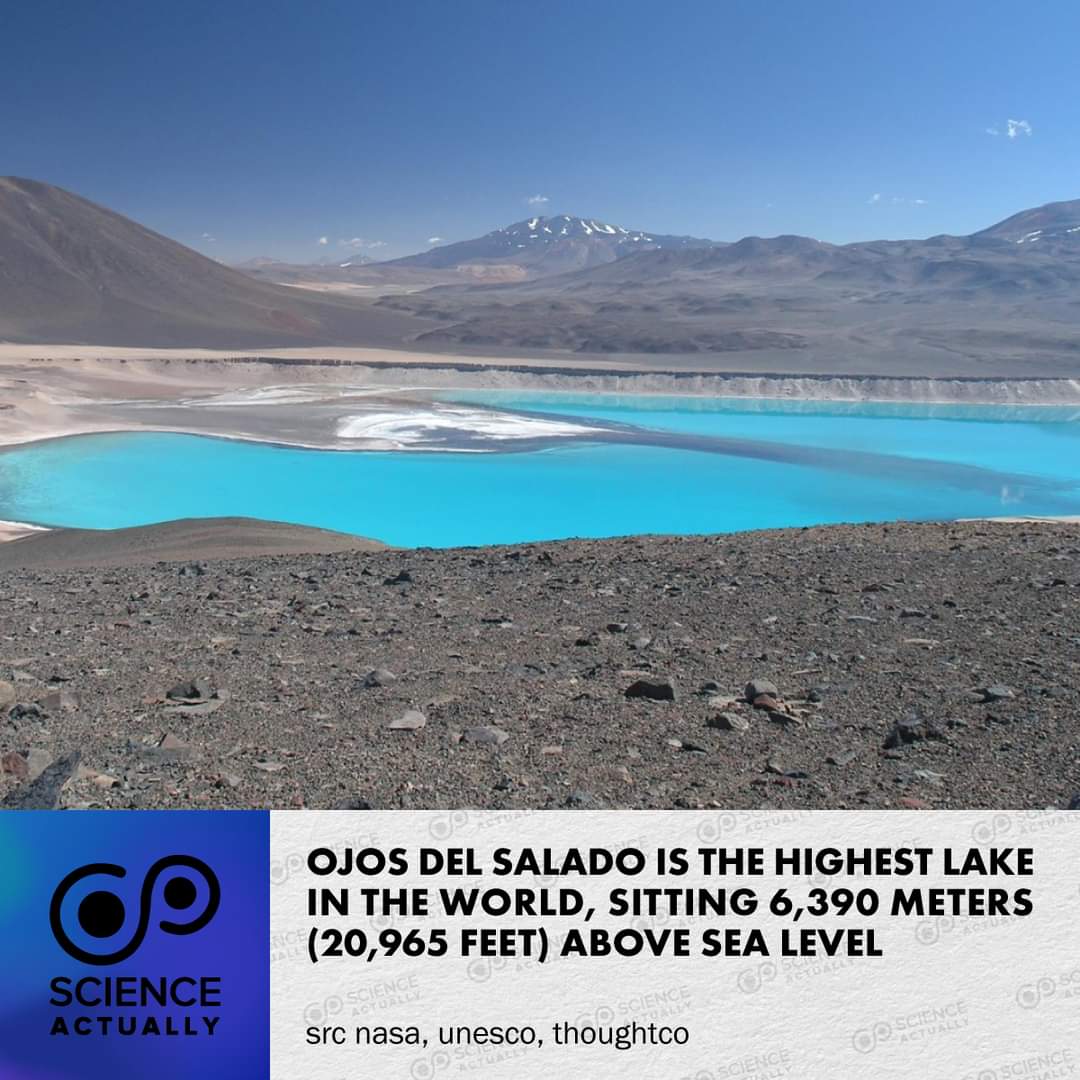Ojos del Salado is the highest lake in the world, sitting 6,390m (20,965ft) above sea level.

Some say it's Lake Titicaca, but that's only the world's highest navigable body of water at 3,800m above sea level.
#science #sciencefacts #ojosdelsalado #worldshighestlake #laketiticaca