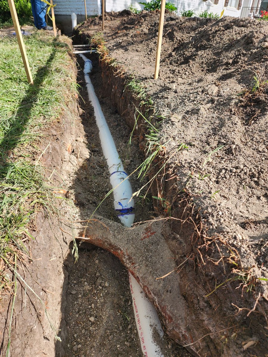 ThePlumbinator1's tweet photo. We care about #texastrees! We hand dug under those tree roots in the pic and carefully laid the new sewer line. #arborists love us! #austinplumbers https://t.co/TbmJ8keHxd