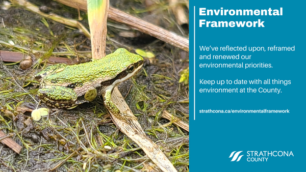 We're committed to our environmental priorities. Learn more about the Environmental Framework and keep up to date with all things environment at the County with our newly released 2023 Year-in-Review. #strathco #shpk strathcona.ca/environmentalf…