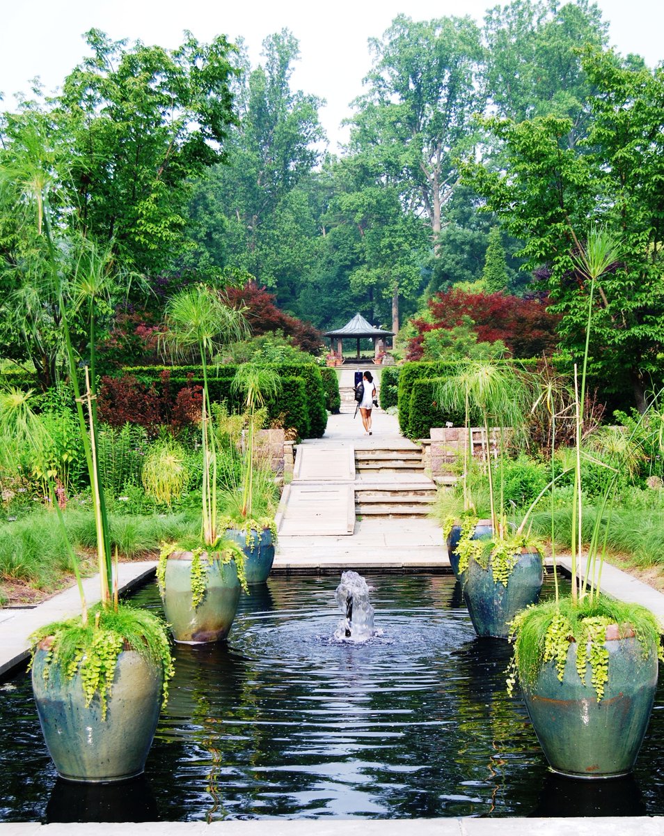 If you are looking to find peace and tranquility, consider visiting one of several beautiful public gardens in Montgomery County, MD! We've rounded up beautiful gardens to explore. 💮🌻 ow.ly/ub1o50Ri8v9 #NationalGardenMonth