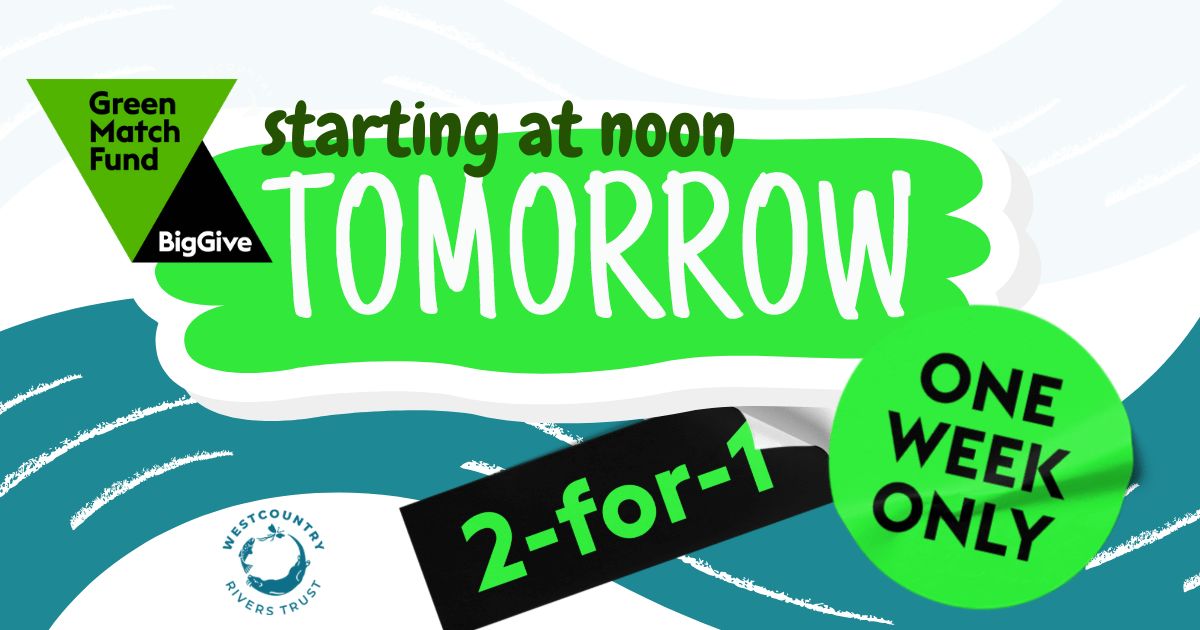 Just 1 day to go… Your previous #GreenMatchFund donations installed homes for wildlife & gave water testing kits to citizen scientists. This time, please support our art and science project - double your donation 18-25 April @BigGive donate.biggive.org/campaign/a0569… #WRT30Years