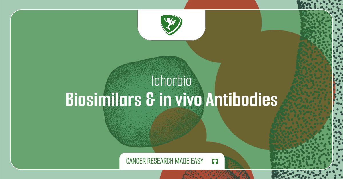 FroggaBio's tweet image. Checkout the wide range of @ichorbio Research Biosimilars and in vivo Antibodies available now at FroggaBio! Explore these high-quality products designed to meet your research needs. 🐸🧪🔍

LEARN MORE: hubs.li/Q02t215t0

#ResearchProducts #BiologicalResearch #FroggaBio