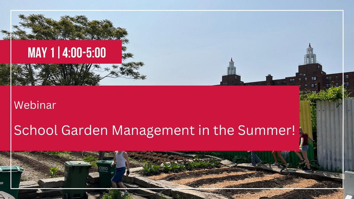 How can you plan for summer care for an overflowing school garden? In this workshop with Peter Germano, @WPSSuperint Garden Coordinator, consider how to engage the school community in maintaining an active school garden in the summer months. buff.ly/3TpqGuE #SchoolGarden