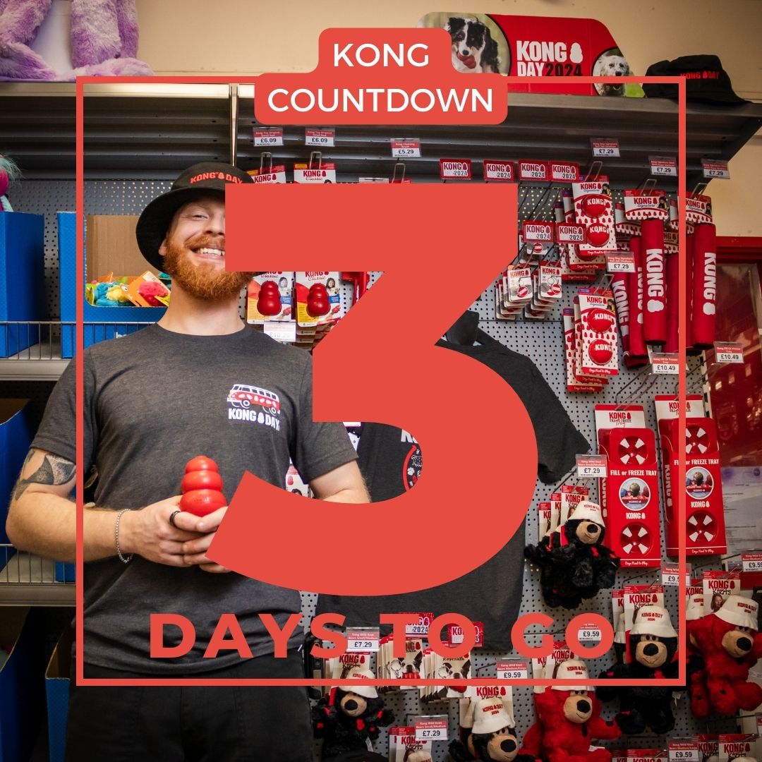 RookesPetProducts tweet media