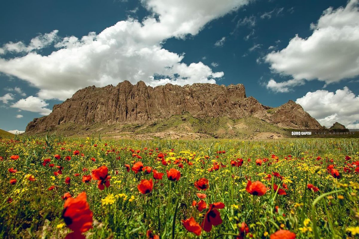 Naxçıvan Muxtar Respublikası, Nəhəcir dağı. 

📸: Alik Xuduyev