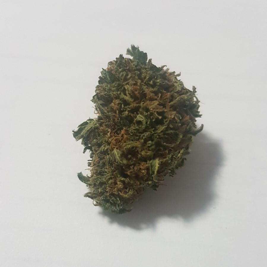 Walter White Highest Measured Values Total THC 9.45% Total CBD <0.02% Total CBG <0.02% #cannabissociety #moonbeam #samples #sale #machine #thc #cbdproducts #fruitypebbles #cannagrowers