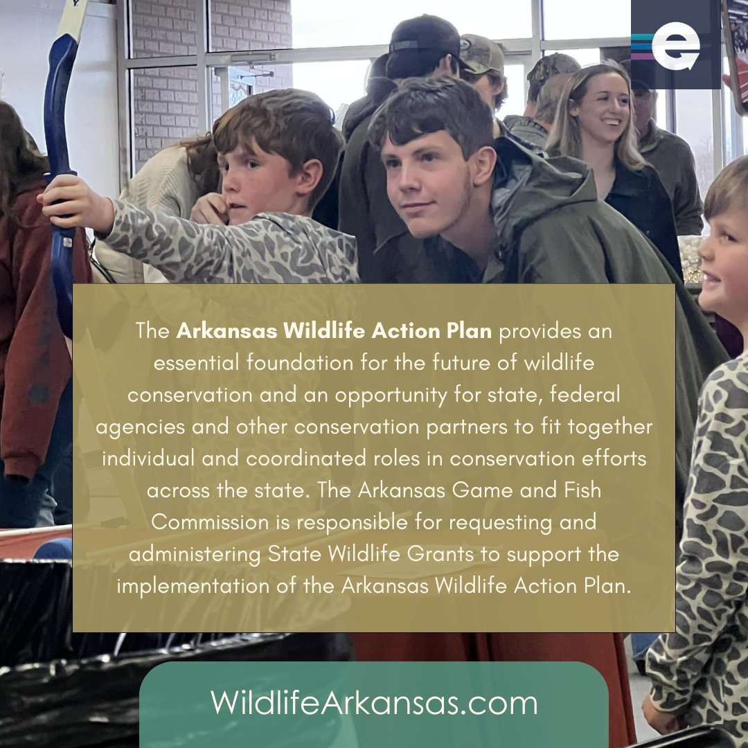 engage_ar's tweet photo. The Arkansas Game and Fish Commission is responsible for requesting and administering State Wildlife Grants to support the implementation of the Arkansas Wildlife Action Plan. https://t.co/KOZH69KE5I