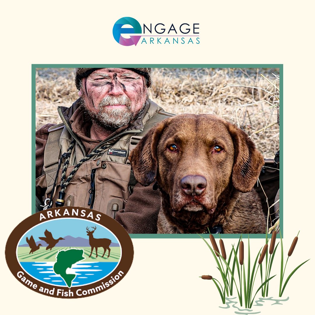 engage_ar's tweet photo. The Arkansas Game and Fish Commission is responsible for requesting and administering State Wildlife Grants to support the implementation of the Arkansas Wildlife Action Plan. https://t.co/KOZH69KE5I