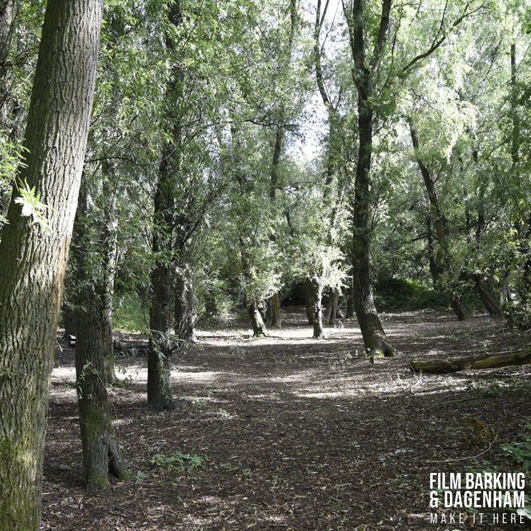 filmlbbd's tweet image. Eastbrookend Country Park and Nature Reserve is a gorgeous and vast 84-hectare park filled with nature trails, horse grazed meadows, marshlands &amp;amp; ponds, boasting free car parking with easy access by car via the A12 &amp;amp; A13. Come film here in both the day and evening. #makeithere