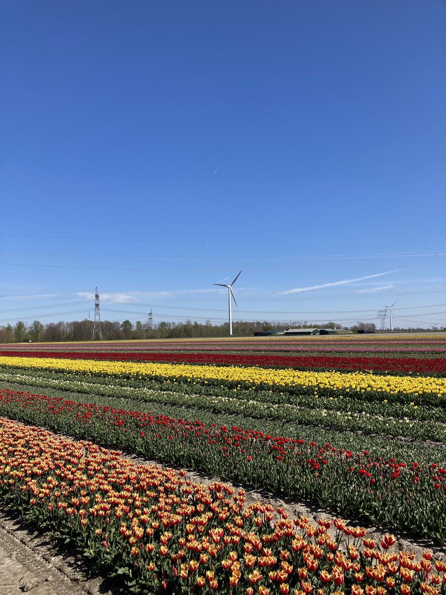 Wandelnet Flevoland tweet media