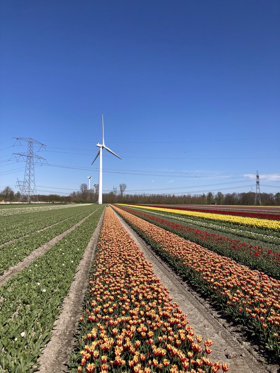 Wandelnet Flevoland tweet media