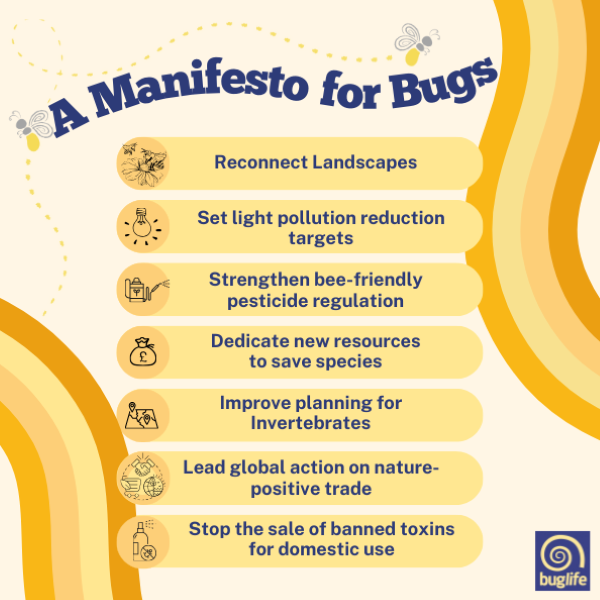 Buzz_dont_tweet's tweet photo. 📑Seen our 2024 #GeneralElection - #ManifestoForBugs?

🤎 It sets out what our smallest &amp; most numerous creatures need from any future #Government. 

#Invertebrates are the foundation of a healthy environment &amp; essential to ecosystem function...
👇
https://t.co/VD9pMjZDiI

🧵/1 https://t.co/VY148ijON9