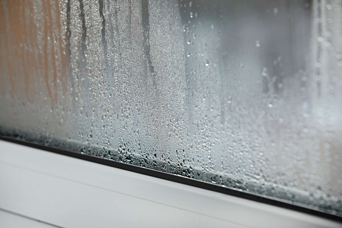 How to Prevent Condensation

Our experts at Protech Property Solutions share practical tips on how to prevent condensation and maintain optimal indoor conditions: ow.ly/RhRH50RgmTR

#PropertyManagement #BlockManagement #FacilityServices