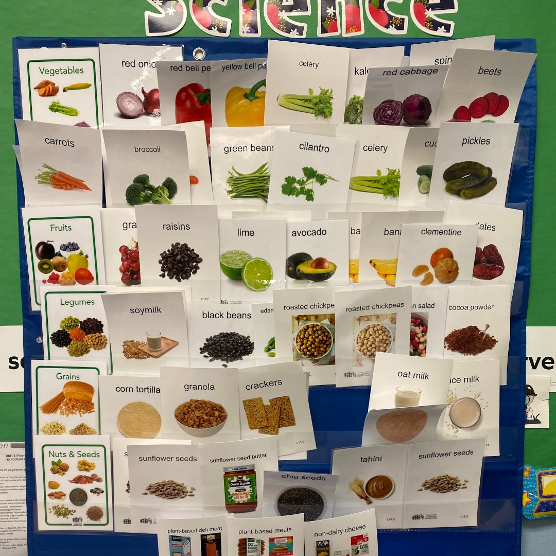TASTY MATCH-UP!
Our PreK curriculum is taught in several NYC schools, and it’s that time of year when we see what our students remember from earlier in the year. The children had fun expanding their palates with many new plant-based foods this year.

#nutritioneducation