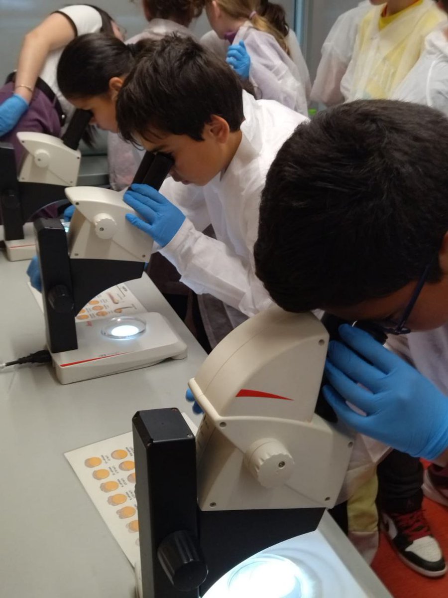 BCNCiència tweet media