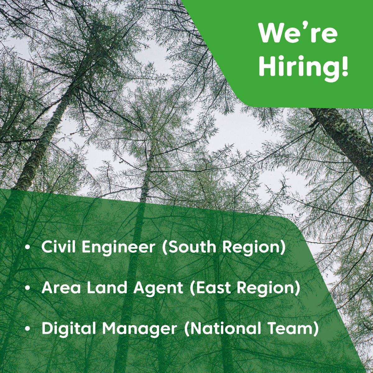 📣 We're currently hiring a range of positions across the country.  ➡️ Civil Engineer (South Region) ➡️ Area Land Agent (East Region) ➡️ Digital Manager (National Team) Join us in helping look after Scotland’s national forests and land. forestryandland.gov.scot/jobs/current-o…