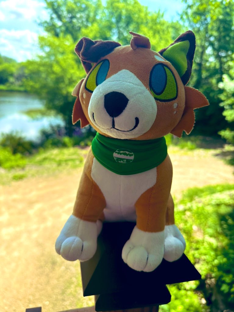 Mystery Tackle Boxes are back ! Help me clear out stock to make way for new things! ✨ - Spend 💲5️⃣0️⃣ or more & get a FREE lake plushie ! 🐶 ❤️ (add plush to cart, discount automatically applied when checking out!) 🔗 below ⬇️