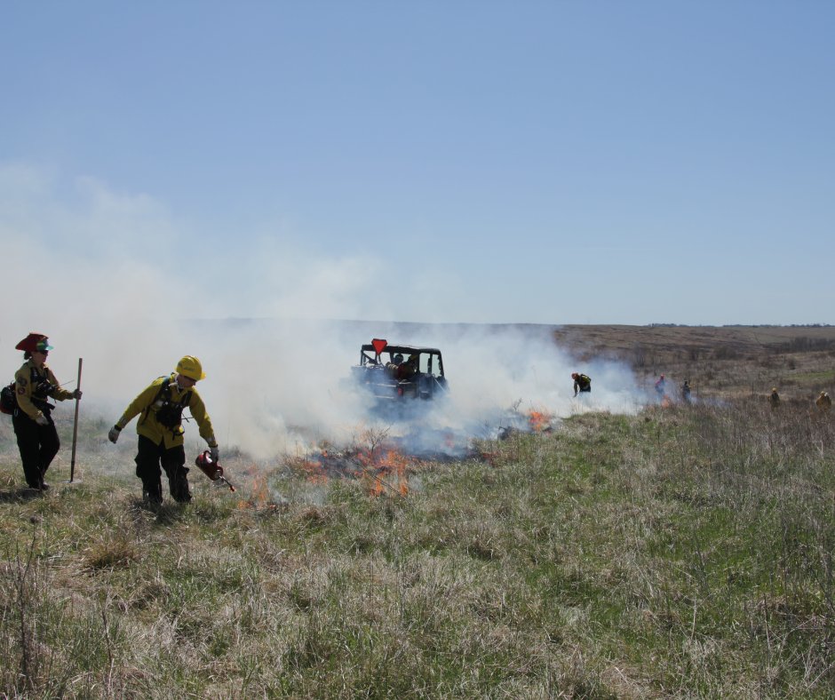 During @prairiefiresci's Hands-On Fire Science Workshop, students new to #rxfire practiced using drip torches with mentorship from experienced crew members. #FireScience