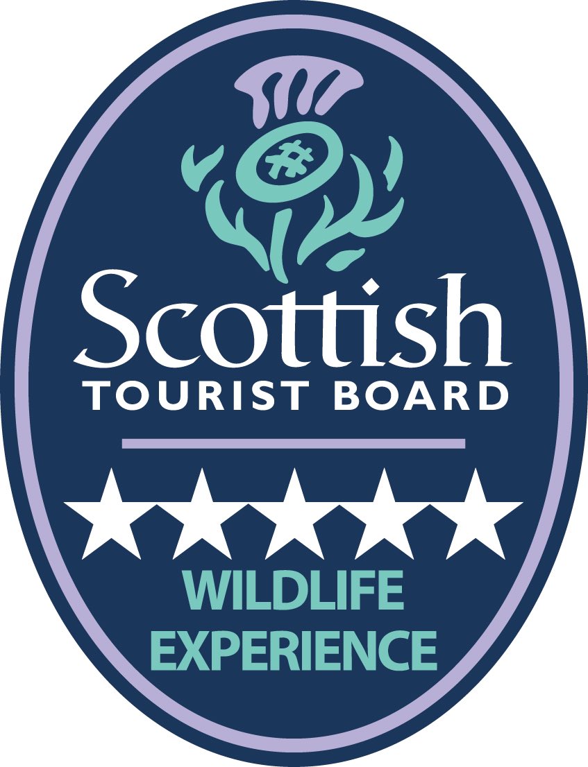 📣 We are very pleased to announce that we were recently awarded: ⭐️ Taste Our Best Award for our Seafood Tours ⭐️ 5 Star Award for Wildlife Experience A massive congratulations to our whole team! These awards demonstrate all of your hard work and dedication! #visitscotland