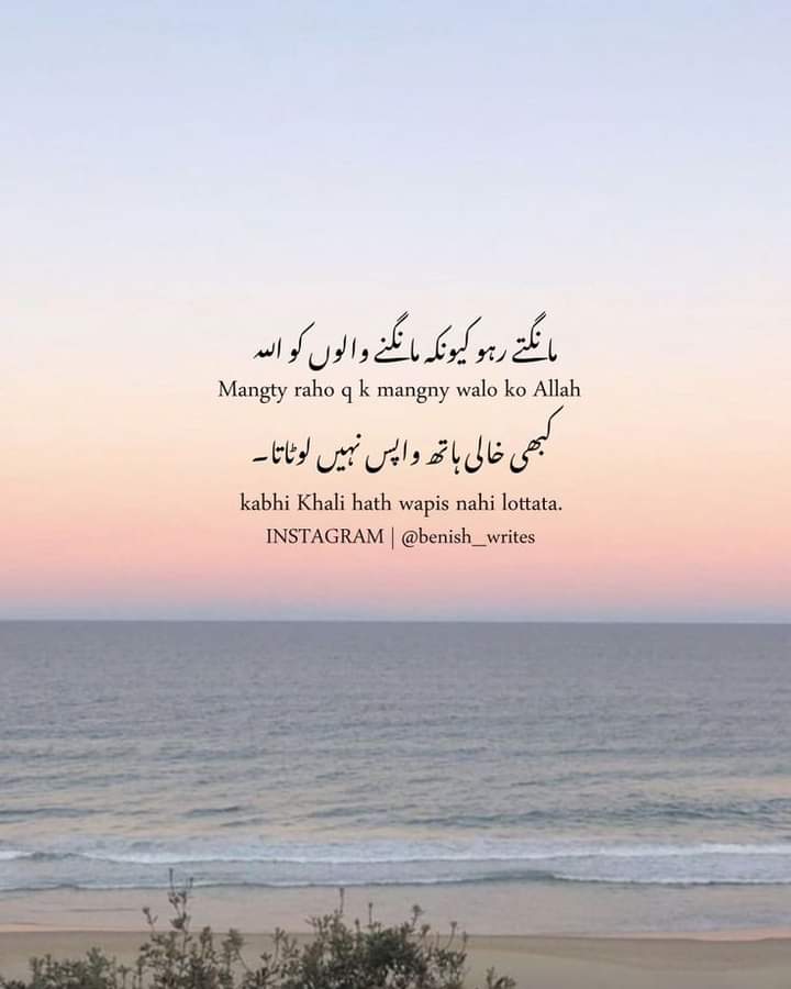 Bashak 
Good night twitter family