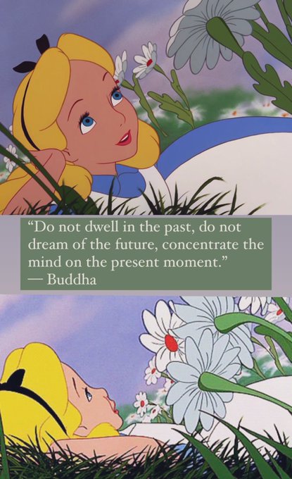 and so it is.✨🌸 https://t.co/hYFQWs5Cvp<a href="/tag/mood"class="tags"><span>#mood</span></a><a href="/tag/movies"class="tags"><span>#movies</span></a><a href="/tag/themoneypit"class="tags"><span>#themoneypit</span></a>