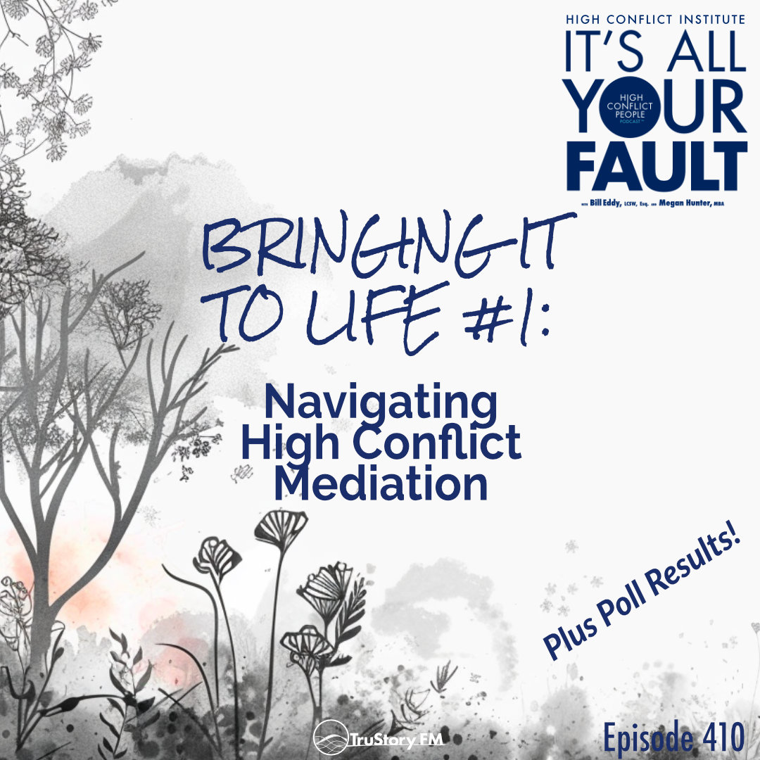 Dive into the latest episode of 'It's All Your Fault' as Bill and Megan unpack poll results, case studies, and strategies for navigating high-conflict mediation. Joined by special guest Elaine Richardson