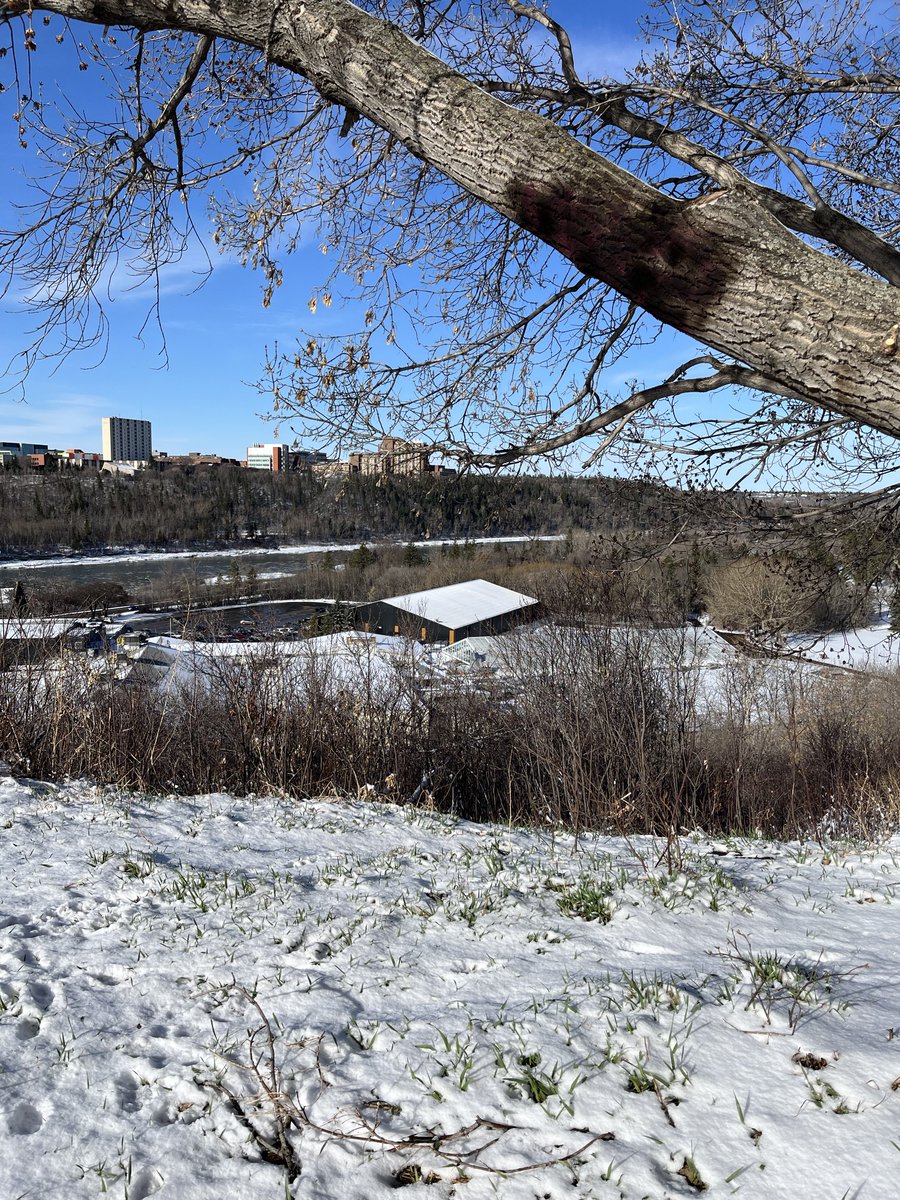 I really, really love a fresh snowfall and bright sunshine. ❄️☀️😎 Sorry @swats24 , I’m full Team @drdagly on this one. The river valley pic has green grass for you. #yeg #springsnow #yegbike