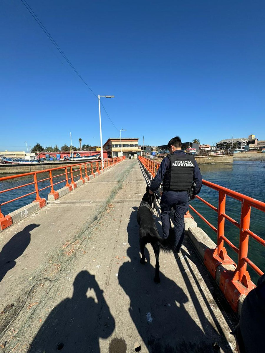 Policía Marítima de la @Cp_Quintero, junto a Binomio Canino de la @gm_valparaiso, realizaron fiscalización en Caletas Papagallo, Loncura y Embarcadero Verificando el cumplimiento de la Ley 20.000 y documentaciones vigentes para embarcaciones y pescadores #ArmadaPorChile