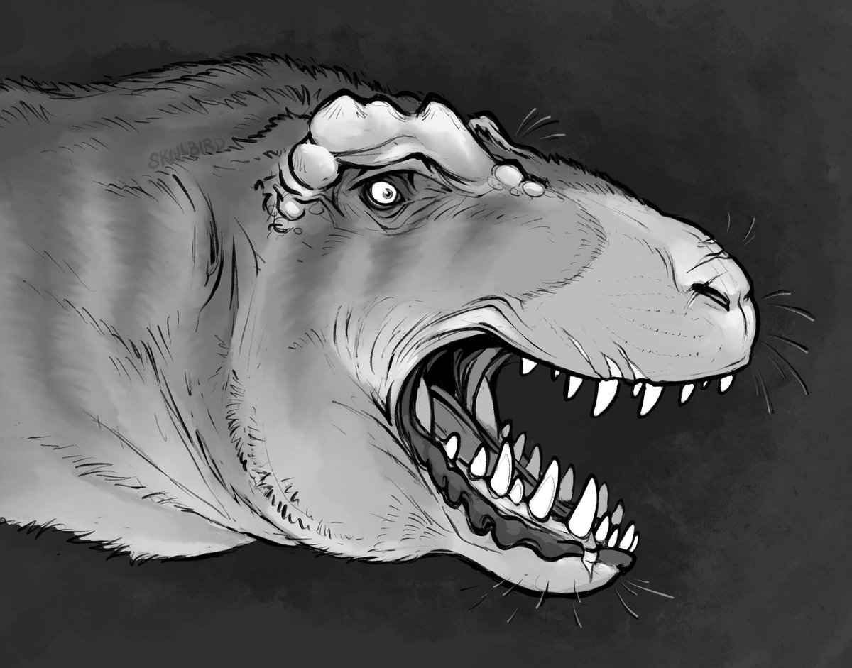 When you really wanna see a tyrannosaur with fuzz, whiskers, and jowls… Sometimes you just gotta sketch it yourself 😔