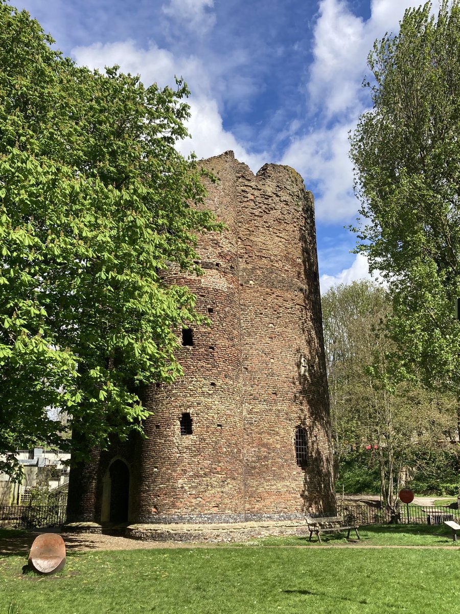 Eye-popping contrast in chilly sunshine, on the river-walk by Cow Tower.
#norwich #greenspace #nature