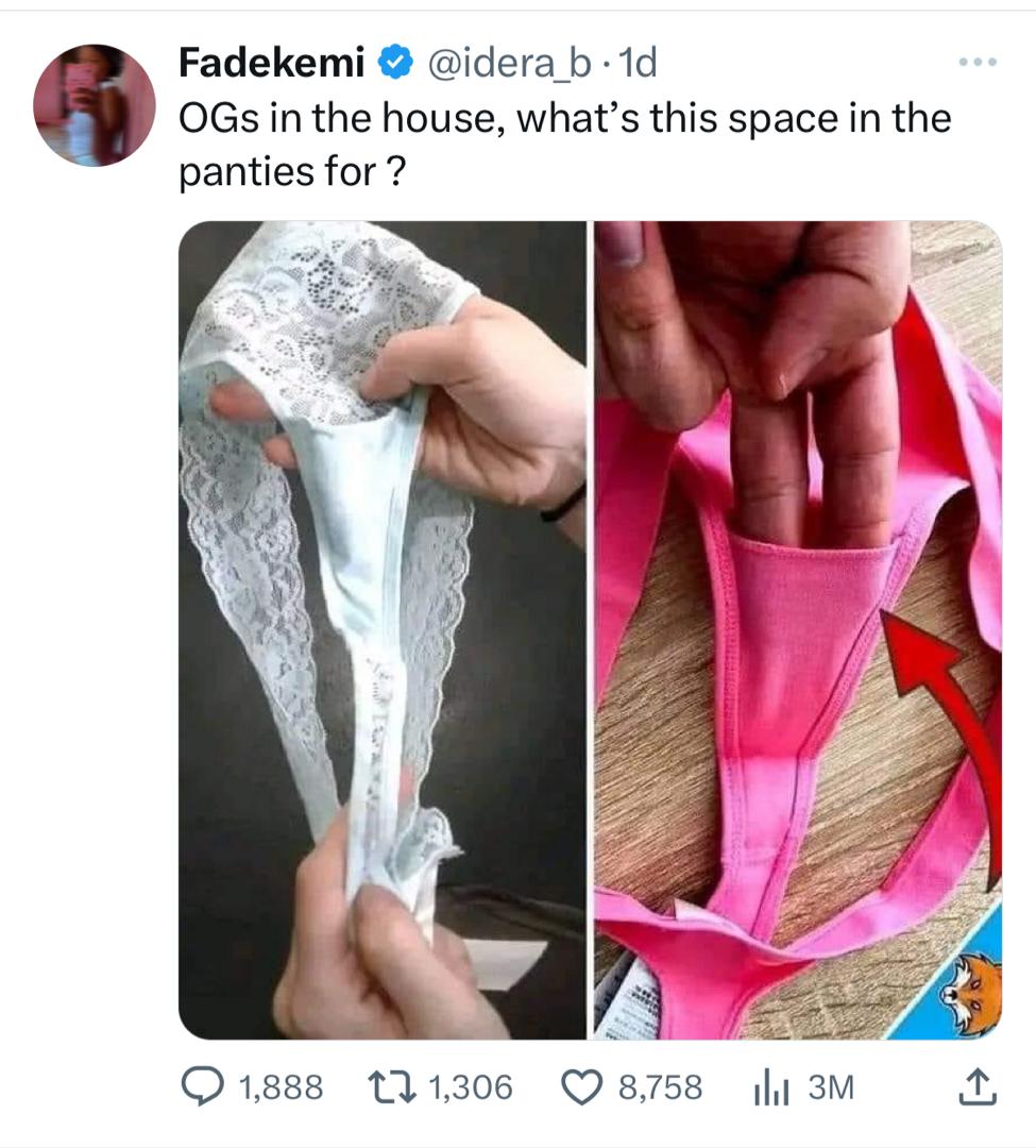 What do you think this space in the panties is for? Educate and inform us.

Visit briefessentials.com 
#BriefEssentials