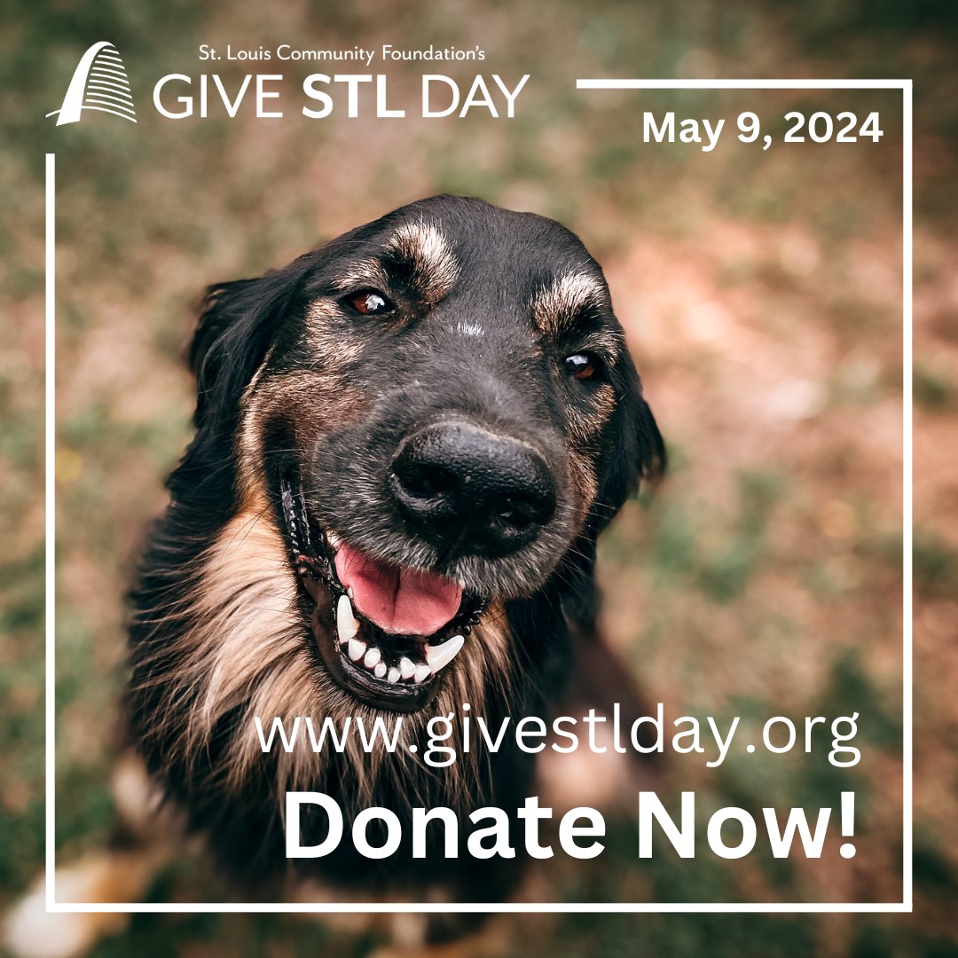 Don’t forget you can give your #GiveSTLDay gift early to support @OpenSpaceSTL NOW!

Donate now at givestlday.org

@stlouisgives

The big day is May 9th with Power Hours and much more. Stay tuned for details.

#cleanstreams #openspaces
