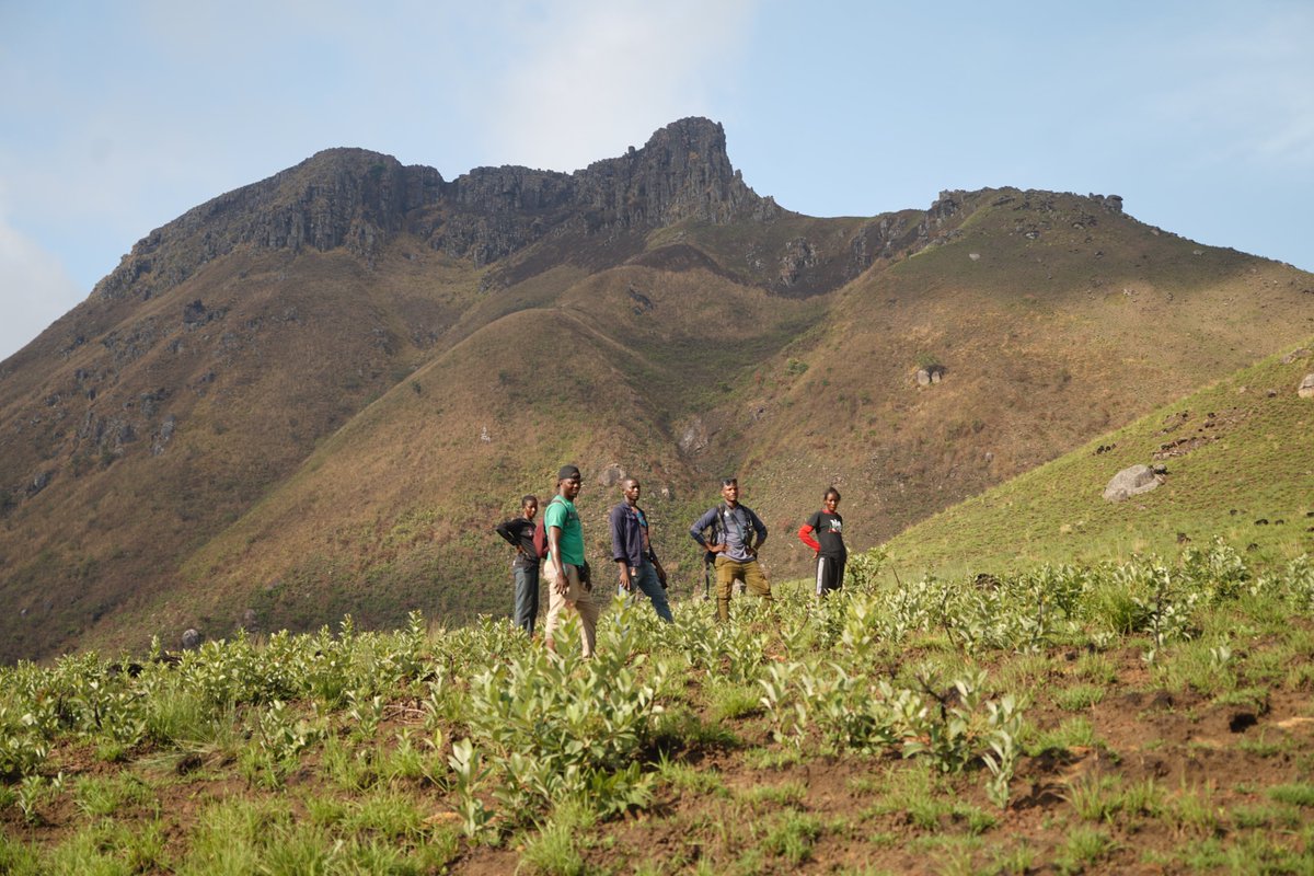 Tacugama's tweet image. This month our outreach team, Loma eco-guards, with the NPAA and local community members, climbed to the top of Bintumani Mountain, the highest peak in Sierra Leone at 1,945 meters! Would you want to climb this peak? Thanks to  #USForestService for their support in this mission!