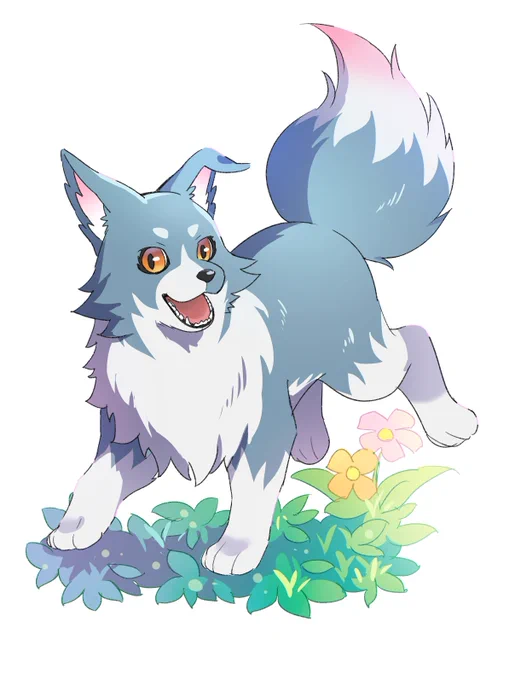 イヌチャン 