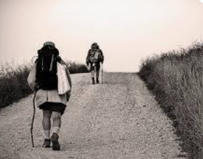 Cada uno de nosotros está en la tierra para descubrir su propio camino y jamás seremos felices si seguimos el de otro. -James Van Praach