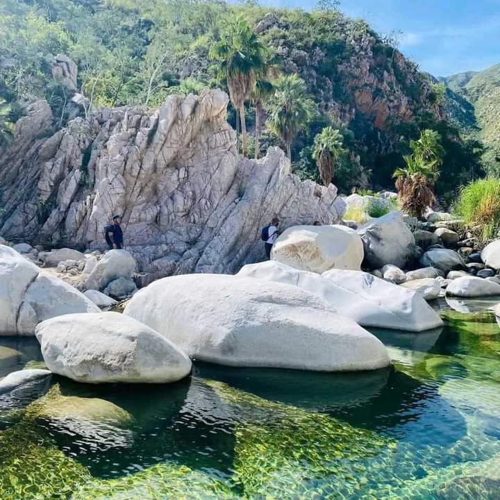 PostBajaSur's tweet photo. #BuenDía ☀️
🌵Rincones de la Baja California Sur
🌴Conocida como las 7 pozas, es un basto arroyo rodeado de palmeras y blanca un paraíso en medio del desierto sudcaliforniano 
Fuente:✔️
Explora tu Baja https://t.co/izxuYVhB5q