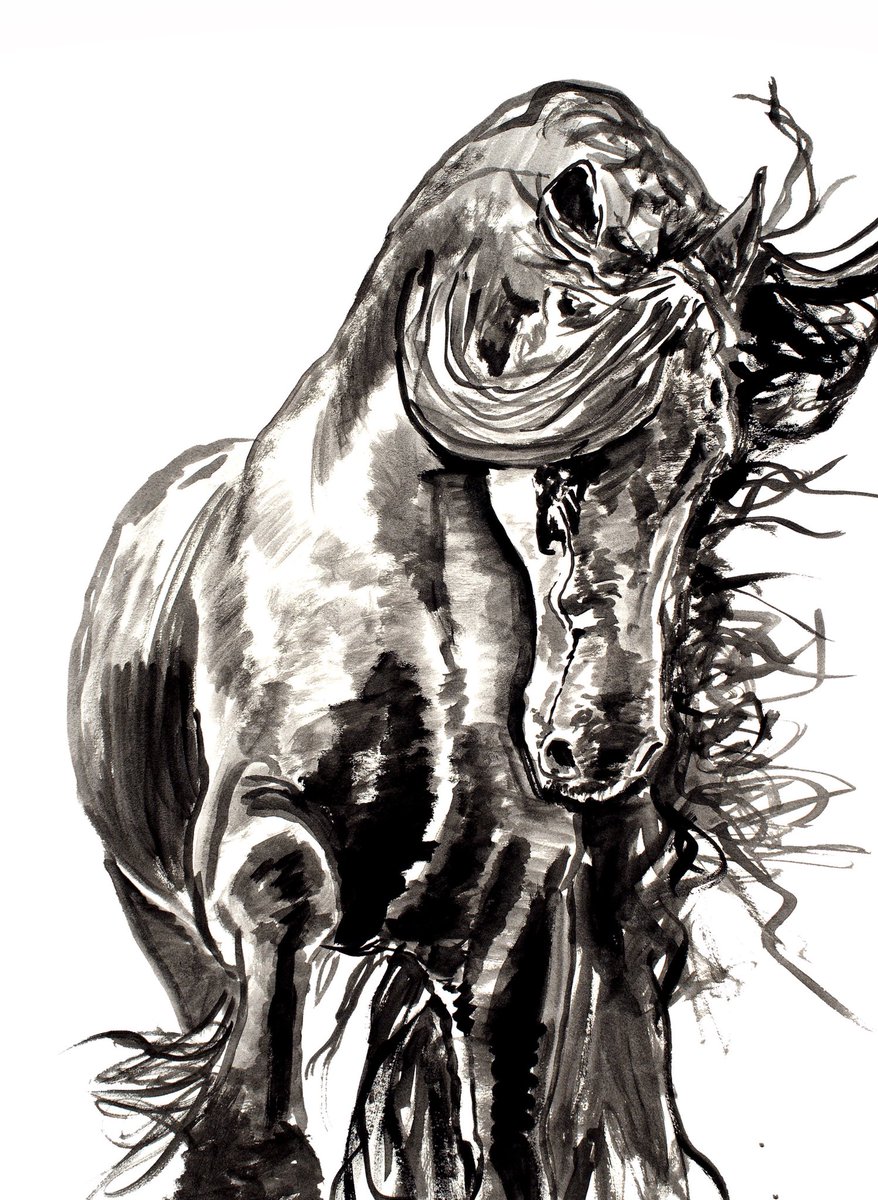 “Black Charger” 24 x18 inch ink on paper. Available on my website. #ink #inked #inkedart #drawing #drawings #painting #paintings #horses #equestrian #horseart #equineart #horse #equine #art #artist #artists #artwork #artstudio #contemporaryart #animals  #animalpainting