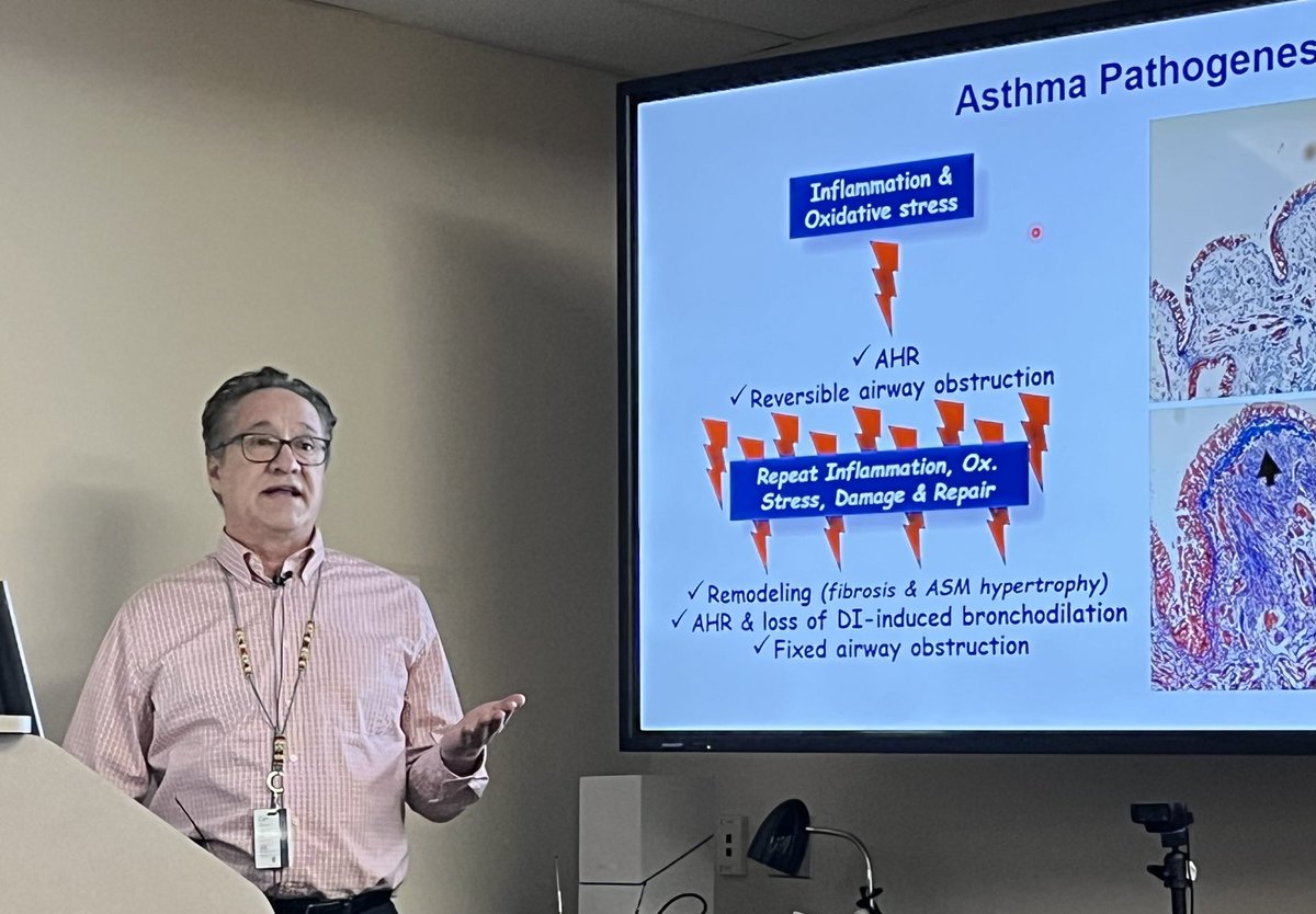 Dr Andrew Halayko, dept of Physiology and Pathophysiology at UM, presents his work on the role of oxidative stress in asthma. Important interactions to explore with respiratory infections.