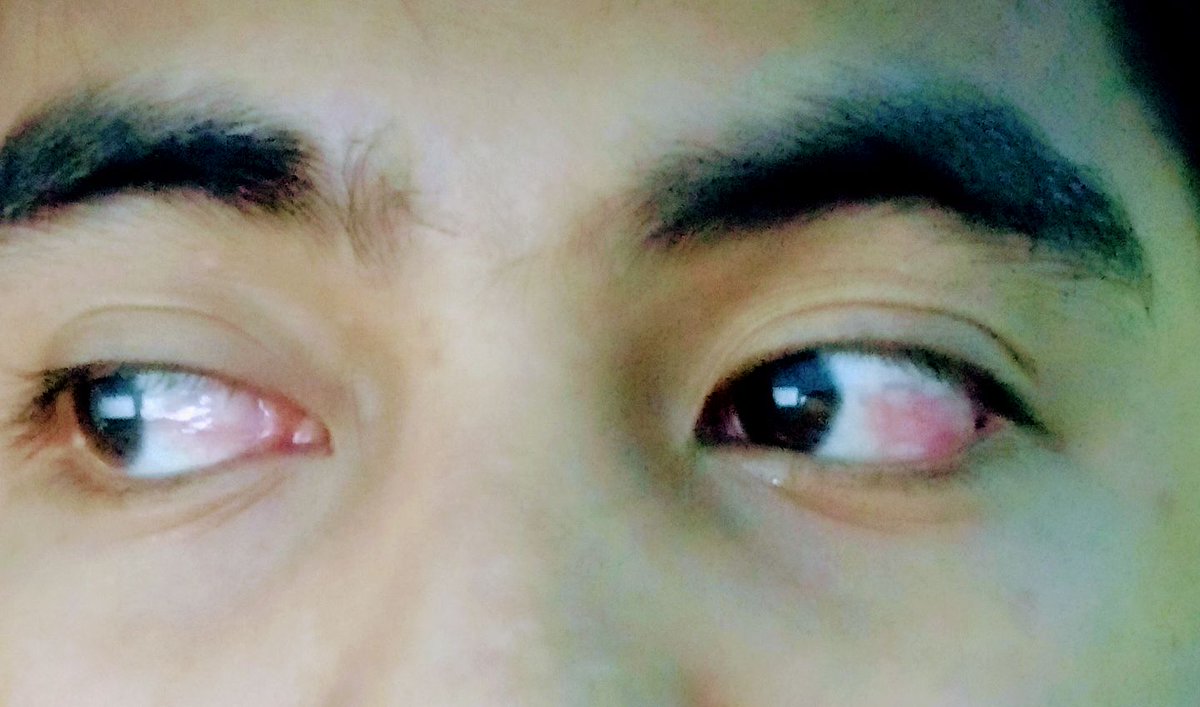 arwen_rubio's tweet photo. Yes, life isn't easy. https://t.co/DShRxPXR2z