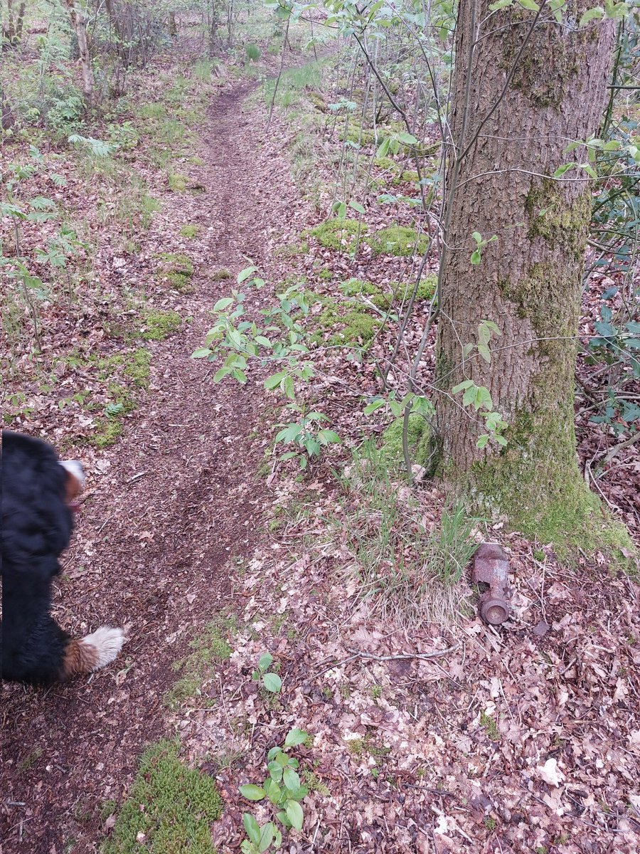 EeftingBert's tweet photo. Tijdens dagelijkse honden uitlaatrondje #Hullenzandweg #Nieuwbalinge #Mantingerveld #natuurmonumenten een roestig blikje meegenomen dat daar al tientallen jaren lag en waarvan ik vaak dacht: 'de volgende keer.....' Ik had nu hondenpoepzakje mee, dus ook maar ander zwerfafval mee. https://t.co/izfeGUFDzQ