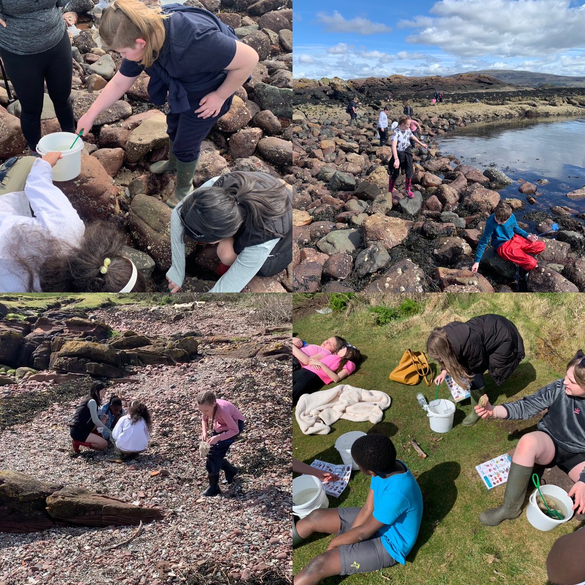 Primary 6 enjoyed their first activity of their @FSC_Millport residential by having fun in the sun exploring a nearby beach and rocky shore! 🐚 #P6Millport24