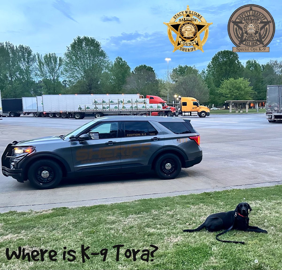 It’s time for everyone’s favorite contest, Where is K-9 Tora Wednesday! Last week was a harder one, so this week Sgt. Kirkland decided to make it a little easier. Correct answers go into a drawing for a K-9 Tora trading card. So y’all, where is K-9 Tora? #WhereIsK9Tora #HCSO
