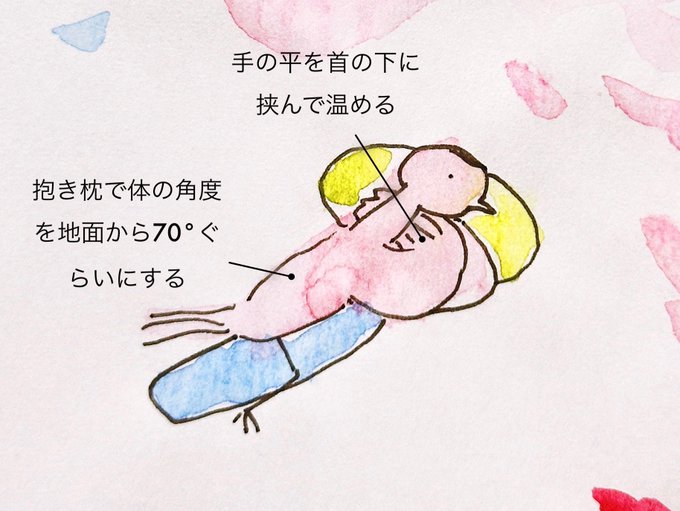 この冬たどり着いた、寒い時に早く眠れる寝ぞう 