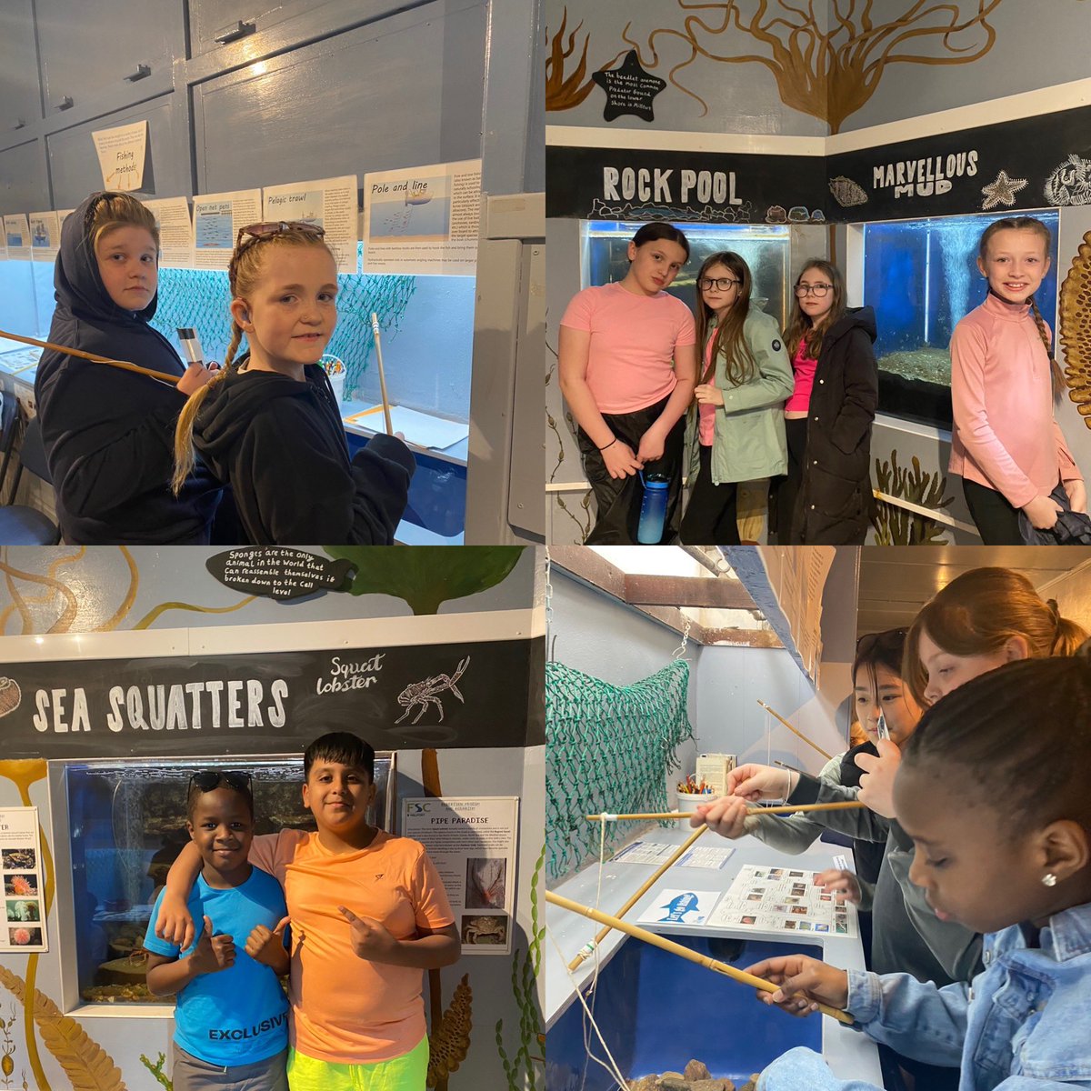 Primary 6 were looking at some of the amazing creatures found in the Clyde at the onsite @FSC_Millport aquarium! 🐟