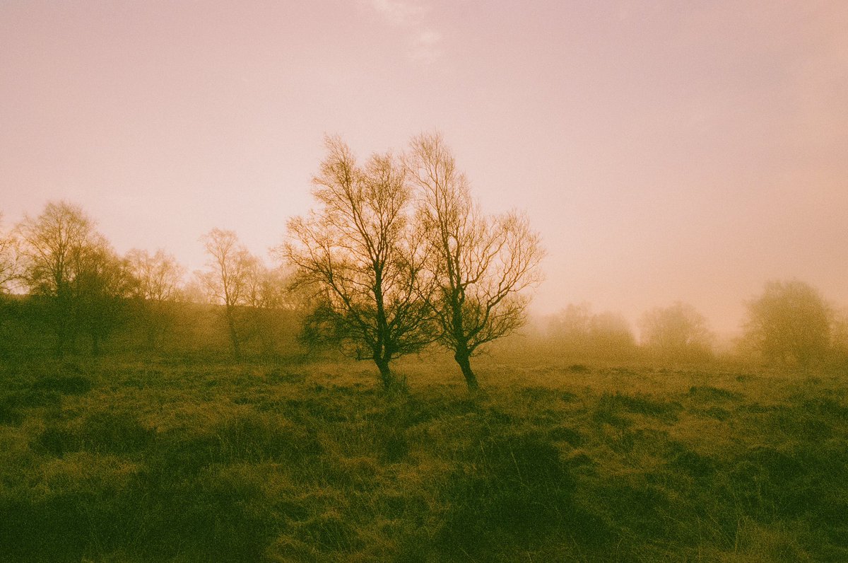 Winter morning colours 🎞️ //