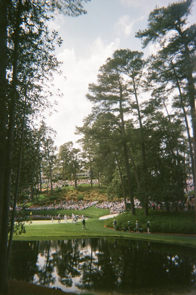 Wake up babe, disposables from Augusta just dropped 😍