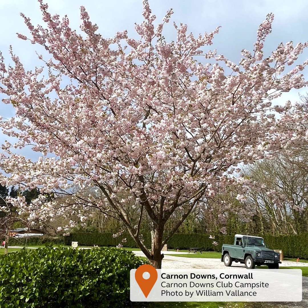 Good evening, it's lovely seeing the beautiful blossom and bluebells out at the moment🌸🌤️, it's probably my fave time of year. What's your favourite time of year & why? 😊 We will be back on from 9am tomorrow to help with your queries. Enjoy your evening.~Beth #GetAwayYourWay
