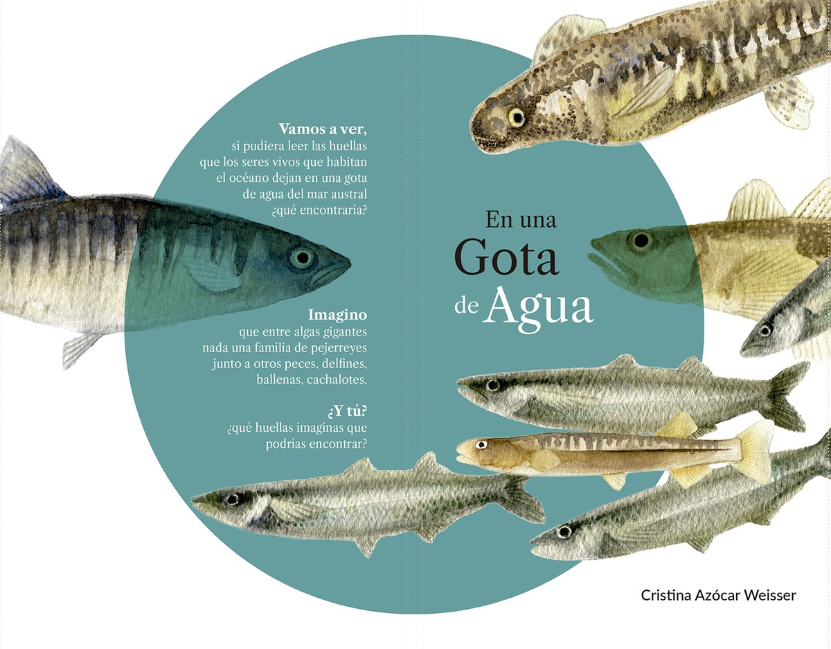 dobleaeditores's tweet photo. DobleAEditores presenta En una Gota de Agua de Cristina Azócar Weisser. Este increíble libro leporello (acordeón) es una invitación a reflexionar sobre la importancia de la biodiversidad en la naturaleza:
https://t.co/fo4PhB20vO https://t.co/w27zO3x97w