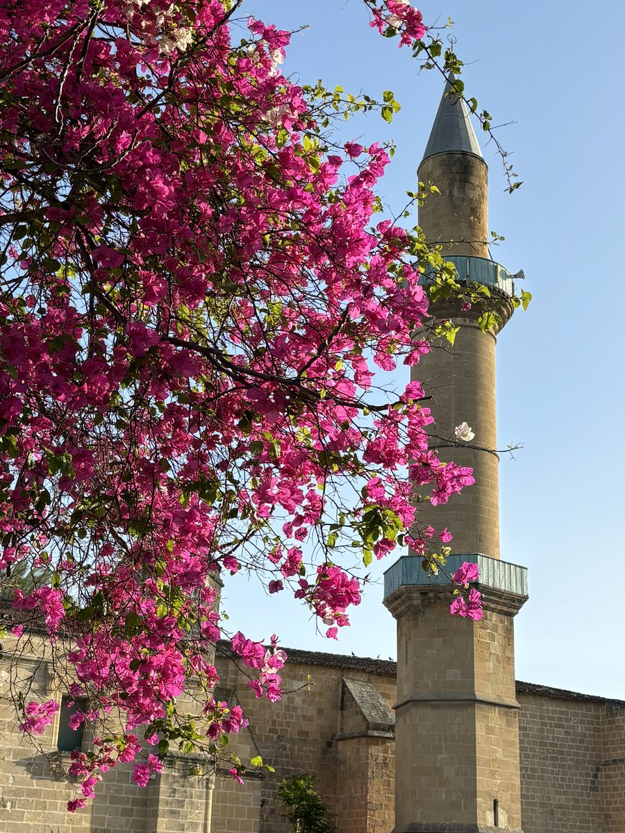 AnJimenezLF's tweet photo. Exploring Nicosia and looking forward to the ESIL Research Forum starting tomorrow #ESILRF2024
On Friday I will be presenting my paper โNavigating regime entanglementโ ๐๐ชขโ๏ธ https://t.co/xtORtbyQSn