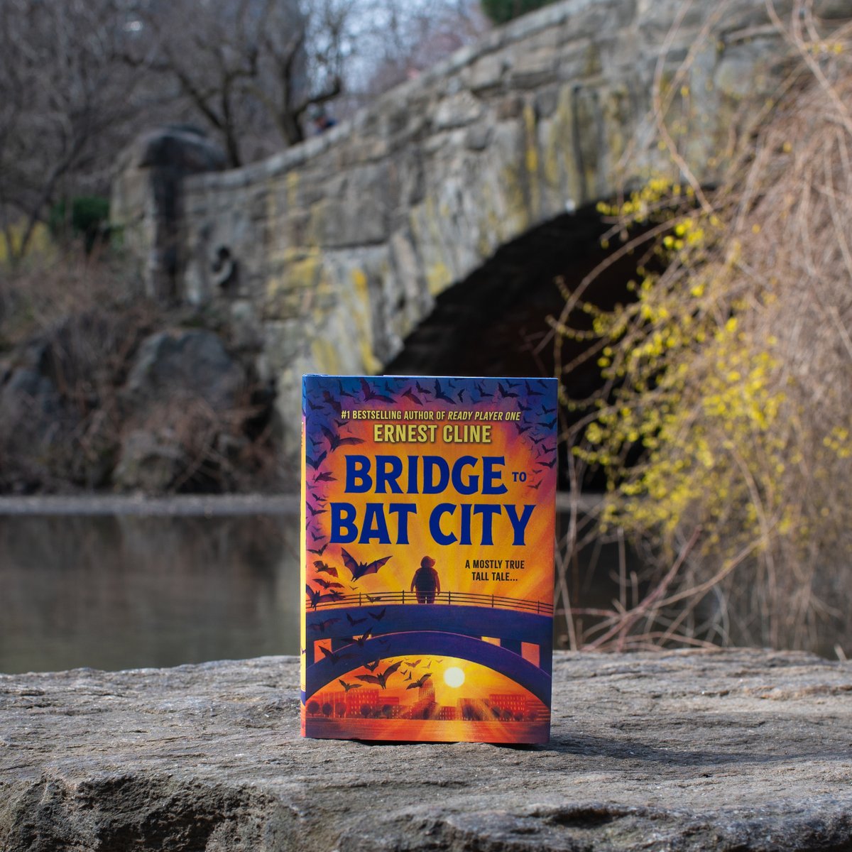 Wishing everyone the most amazing International Bat Appreciation Day! 🦇💕 If you love these adorable critters as much as we do, you're going to fall head over heels for Ernest Cline's BRIDGE TO BAT CITY! @BridgeToBatCity